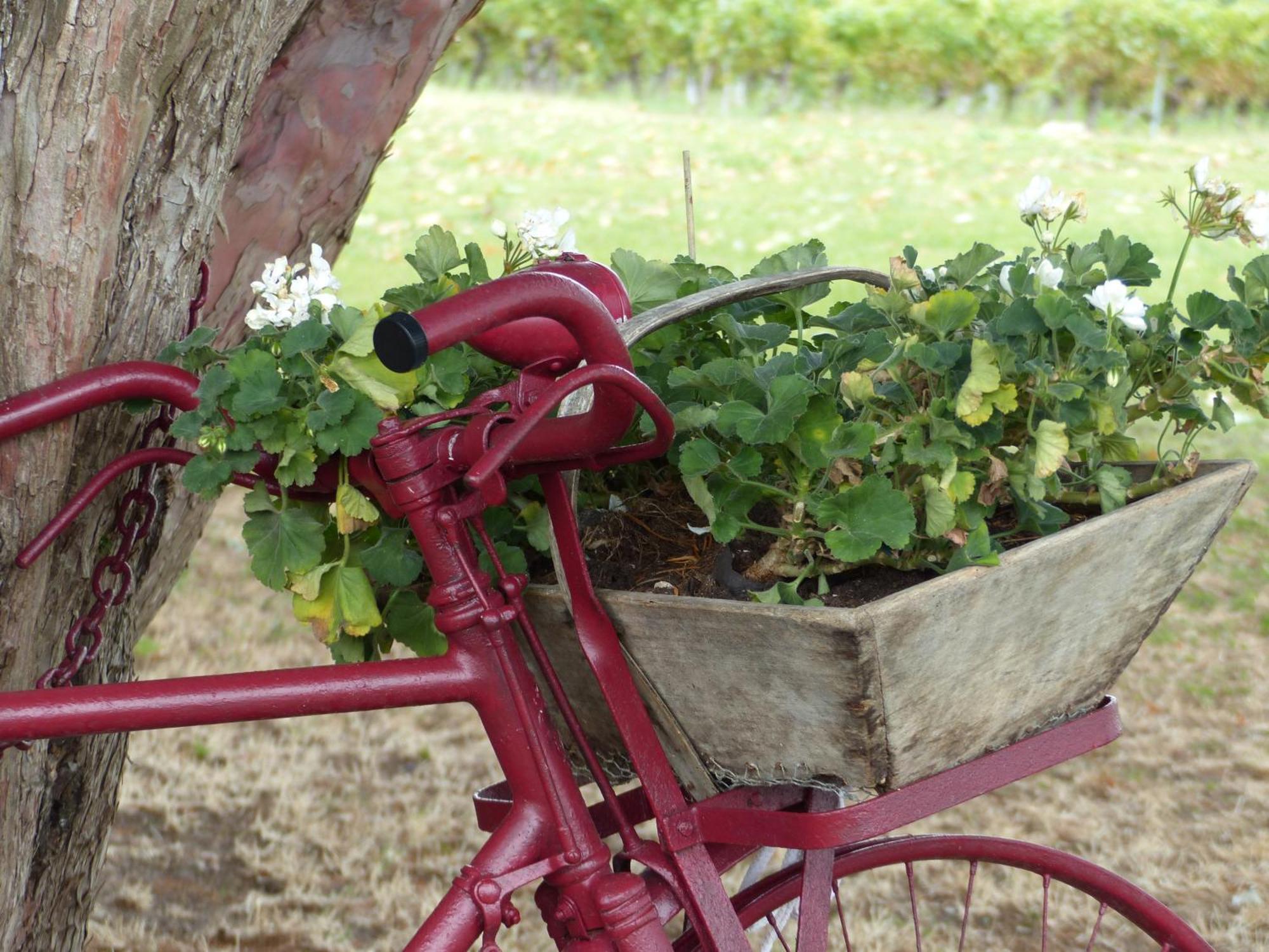 L'Alambic De L'Estuaire Bed & Breakfast Saint-Fort-sur-Gironde Bagian luar foto