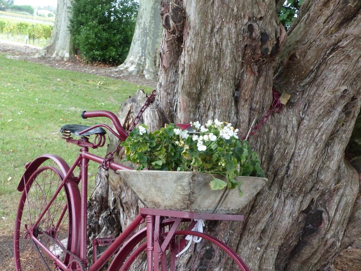 L'Alambic De L'Estuaire Bed & Breakfast Saint-Fort-sur-Gironde Bagian luar foto